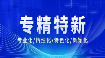 2023年廣東省專精特新中小企業(yè)申報條件